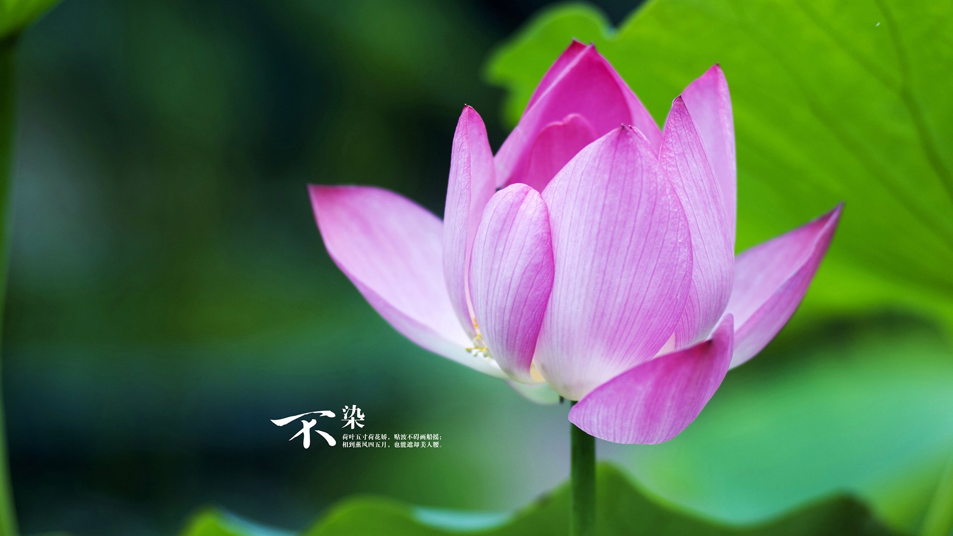 开云综合服务-_老鹰年轻球员表现出色，焕发新气象_，老鹰球员阵容