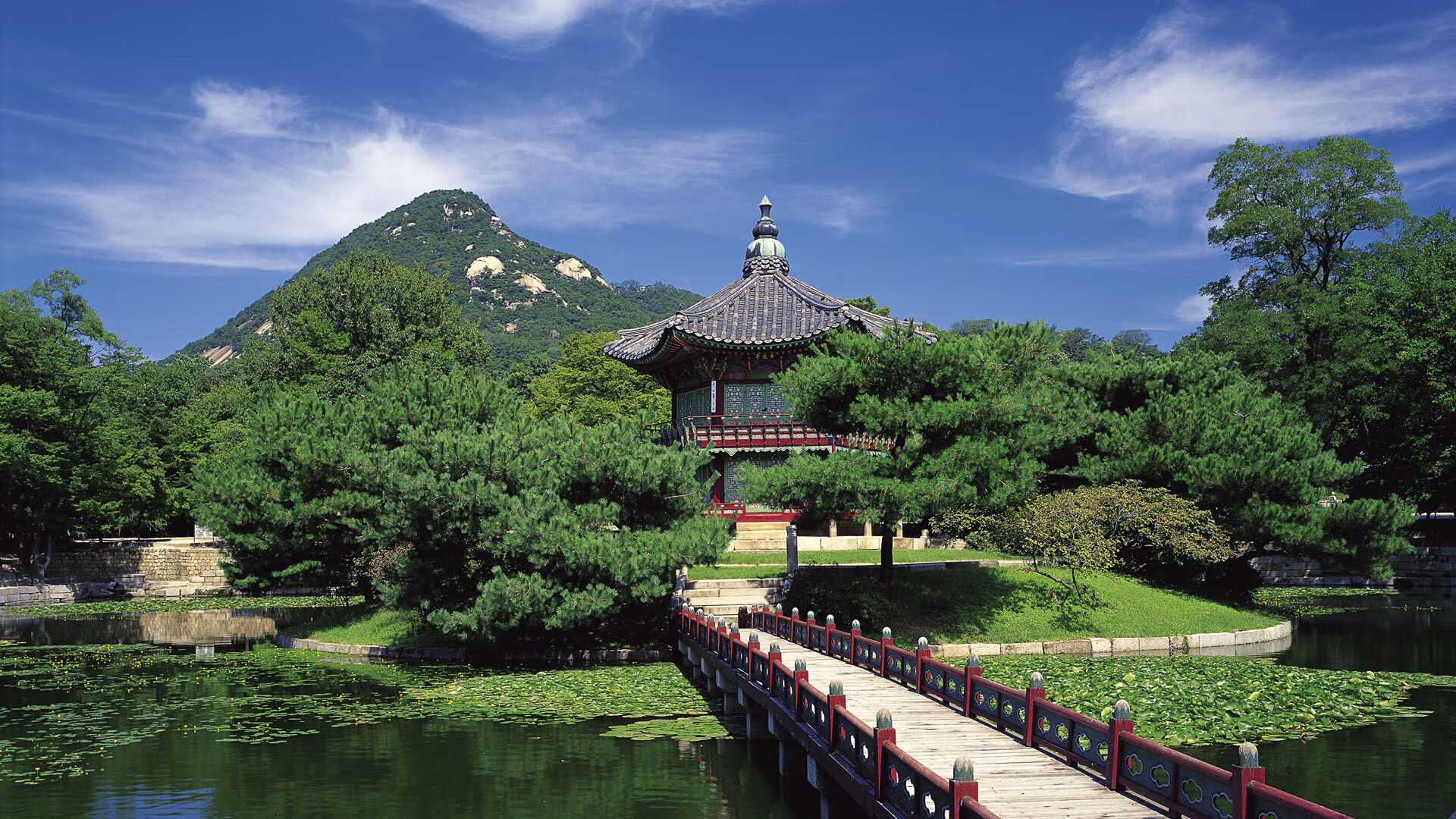 kaiyun网站-_足球文化影响力报告：运动推动城市发展_，足球文化的影响