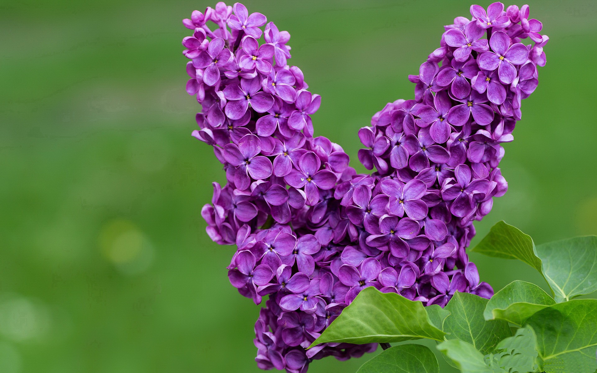 开云官网在线-史上最精彩的“团队合作”集锦：配合到极致的战术奇迹，团队合作下一句是什么