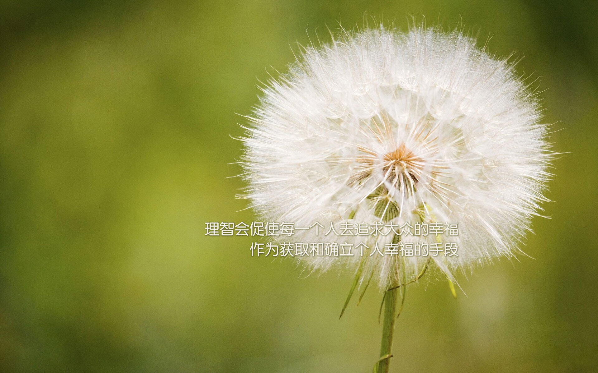 开云电子竞技-德甲：勒沃库森3-2逆转福尔索斯堡，恩昆库中场表现出色，勒沃库森vs